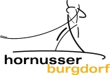 Logo HG Burgdorf klein3